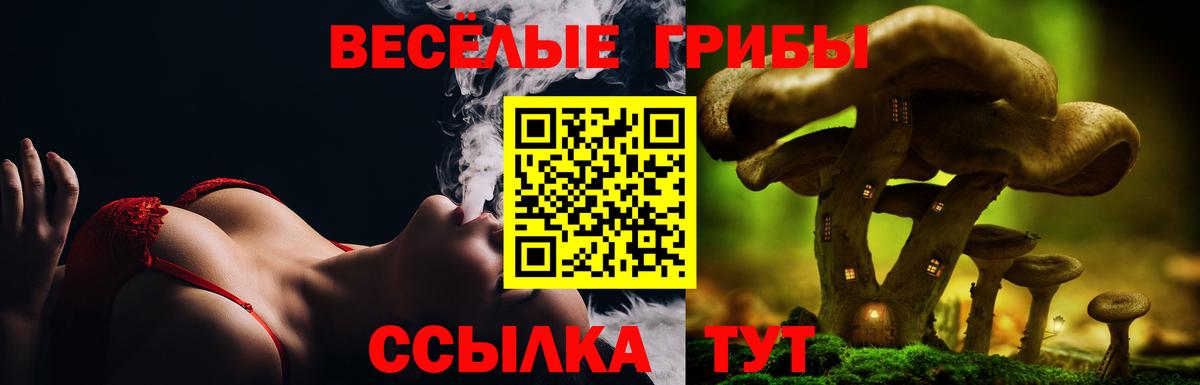 Тимашёвск  Галлюциногенные грибы мухоморы  Вход с VPN 